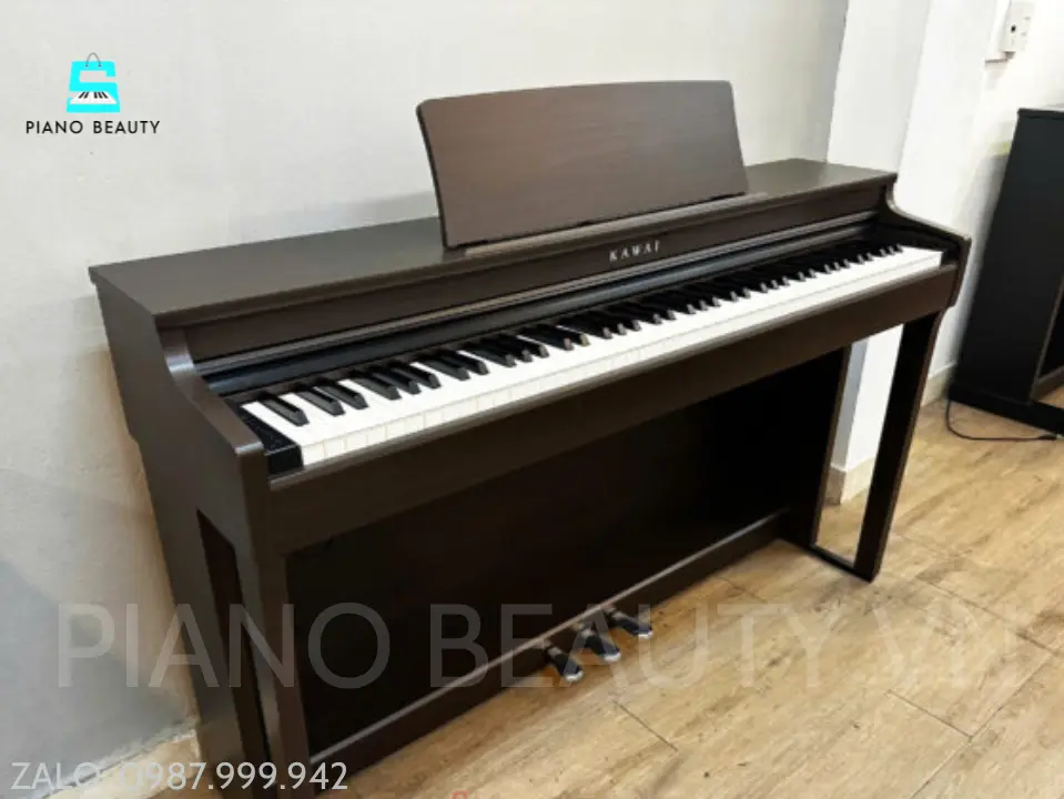Đàn piano điện kawai CN29DW Kawai