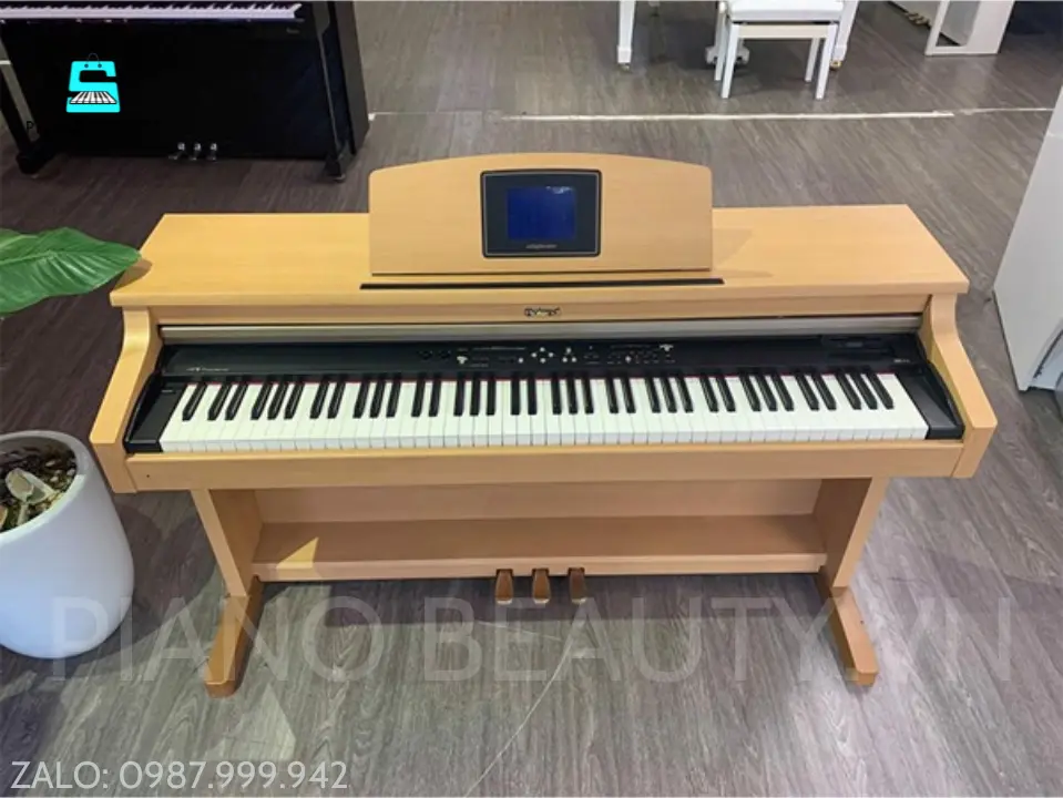 Đàn Piano Điện Roland HPI5AD Chính Hãng Nhật Bản Roland
