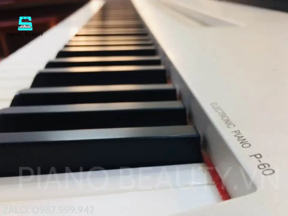 Đàn piano điện yamaha P60 Yamaha