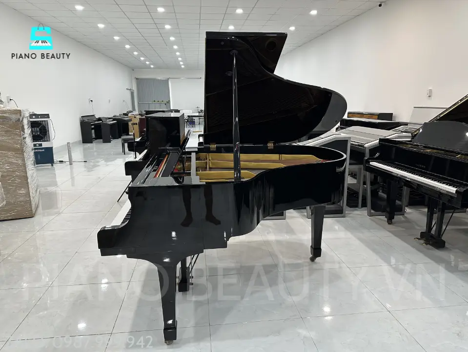 Đàn Piano Grand Yamaha G2 – Đại Dương Cầm Nhật Bản Cân Bằng Giữa Hiệu Suất Và Đẳng Cấp Yamaha