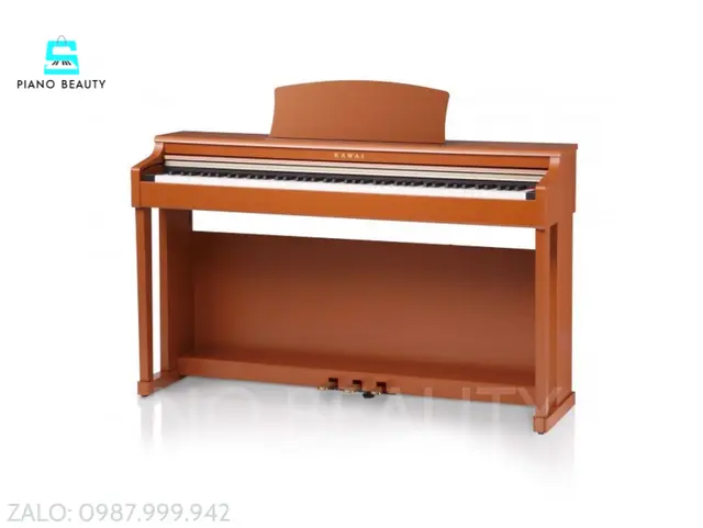 Đàn piano điện kawai CN24C