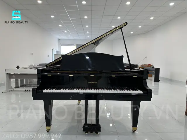 Đàn Piano Grand Diapason 183E