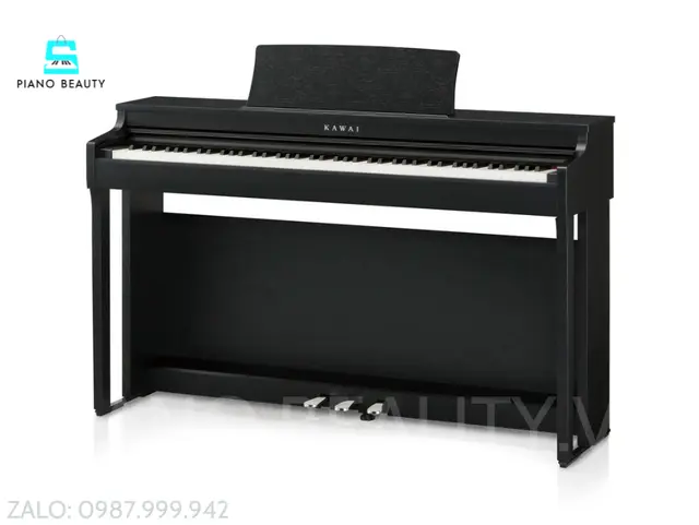 Đàn piano điện kawai CN29DW