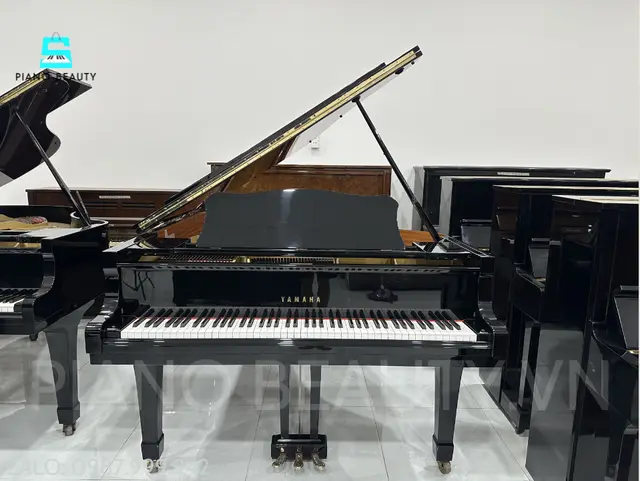 Đàn Grand Piano Yamaha G3B – Đại Dương Cầm 183cm Đẳng Cấp Biểu Diễn Chuyên Nghiệp Yamaha G3B – Âm Thanh Mạnh Mẽ, Đẳng Cấp Grand Piano Nhật Bản