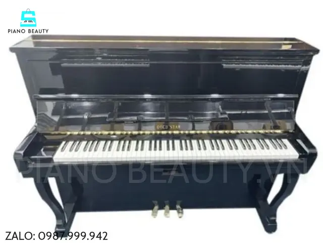 Đàn piano cơ Gors & Kallmann GK2000