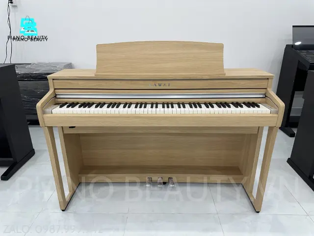 Đàn Piano điện Kawai CA49LO