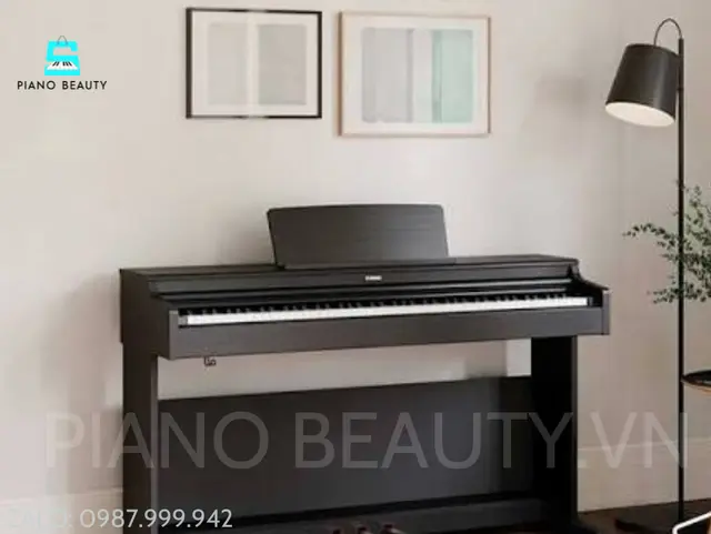 Đàn piano điện yamaha YDP165B