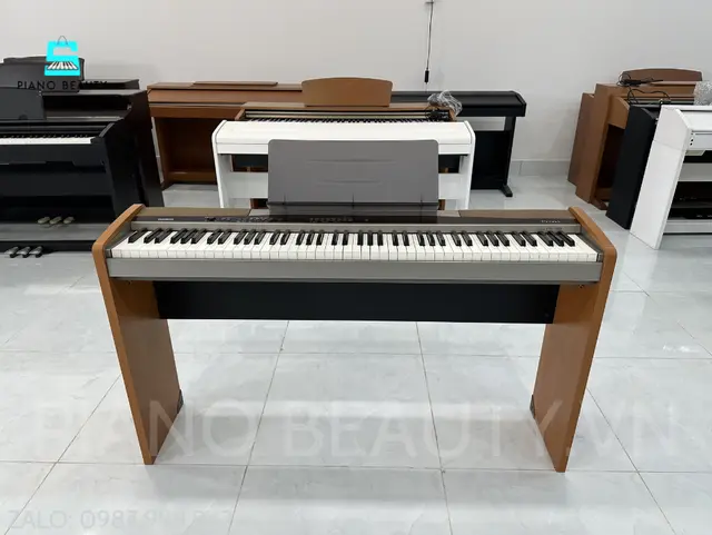 Đàn Piano điện Casio PX100