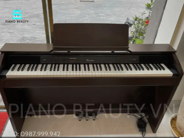 Đàn piano điện Casio PX1200GP