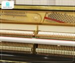 Đàn Piano Apollo A1210W sở hữu búa đàn làm từ lông cừu cao cấp