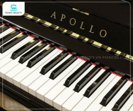 Đàn Piano Apollo A1210W được trang bị 88 phím nặng với cơ chế búa gõ lũy tiến