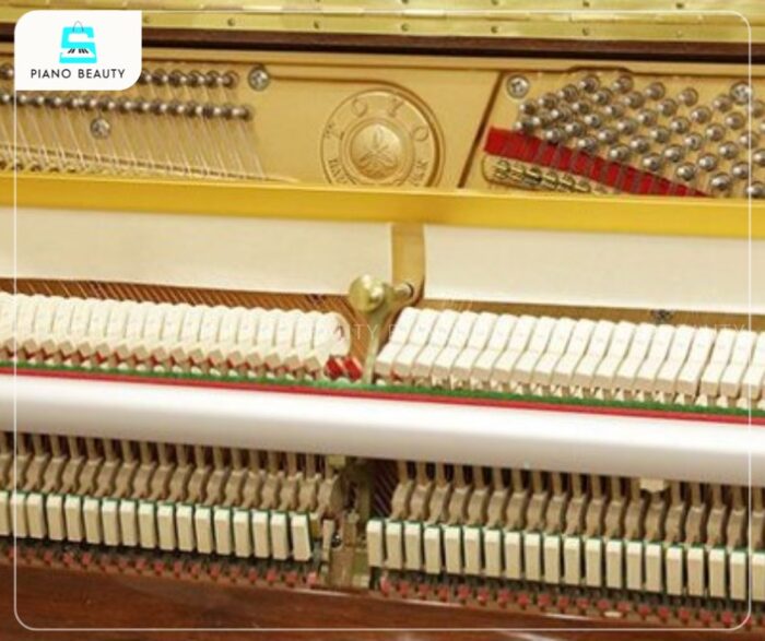 Đàn Piano Apollo A122DX sở hữu búa đàn được làm từ lông cừu cao cấp
