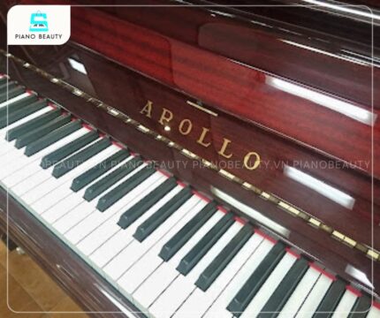 Đàn Piano Apollo A122DX được trang bị hệ thống 88 phím nặng