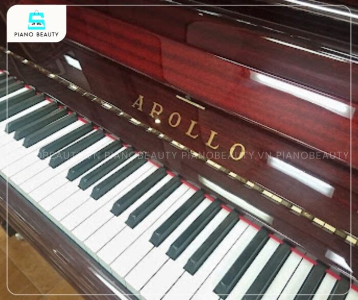 Đàn Piano Apollo A122DX được trang bị hệ thống 88 phím nặng