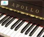 Bàn phím của Đàn Piano Apollo A123CM được chế tạo với độ nhạy tối ưu
