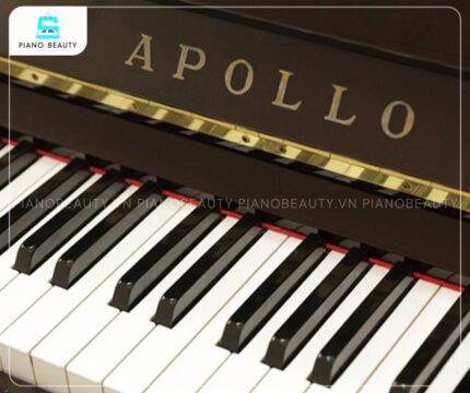 Bàn phím của Đàn Piano Apollo A123CM được chế tạo với độ nhạy tối ưu