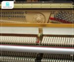 Đàn Piano Apollo A123CW tái tạo âm thanh dày dặn và ấm áp, đặc biệt nổi bật ở dải âm trầm