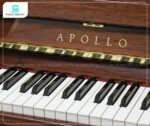 Bàn phím của Đàn Piano Apollo A123CW được thiết kế với độ nhạy cao