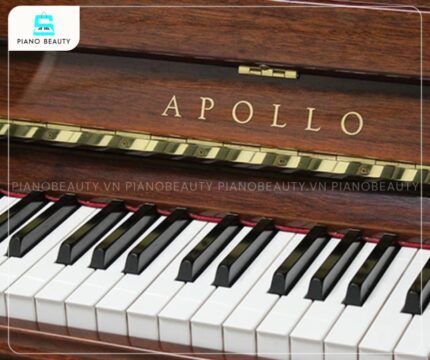 Bàn phím của Đàn Piano Apollo A123CW được thiết kế với độ nhạy cao