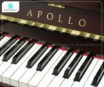 Đàn Piano Apollo A123W gồm 88 phím, được thiết kế với độ nhạy tối ưu
