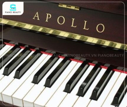 Đàn Piano Apollo A123W gồm 88 phím, được thiết kế với độ nhạy tối ưu