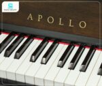 Đàn Piano Apollo A133W có bàn phím được thiết kế với độ nhạy cao