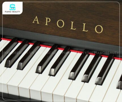 Đàn Piano Apollo A133W có bàn phím được thiết kế với độ nhạy cao