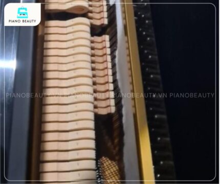 Đàn Piano Apollo A2 với búa đàn được sản xuất tỉ mỉ từ chất liệu gỗ cao cấp, bền bỉ