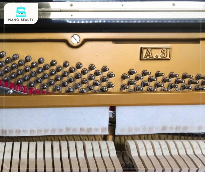 Đàn Piano Apollo A3 nhận được sự đánh giá cao về khả năng tái tạo âm thanh