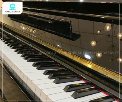 Đàn Piano Apollo A330 mang lại cảm giác chân thực và độ nhạy bén được đánh giá khá cao
