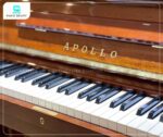 Đàn Piano Apollo A350 sở hữu bàn phím được sản xuất từ Phenolic Resin