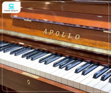 Đàn Piano Apollo A350 sở hữu bàn phím được sản xuất từ Phenolic Resin