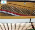 Đàn Piano Apollo A350 được nhận xét là có chất âm trong trẻo