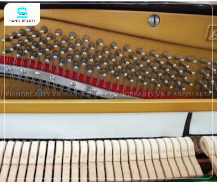 Đàn Piano Apollo A350 được nhận xét là có chất âm trong trẻo