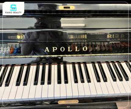 Đàn Piano Apollo A5 được trang bị 88 phím với chất liệu Phenolic Resin, đem lại cảm giác chạm phím cực kỳ êm ái