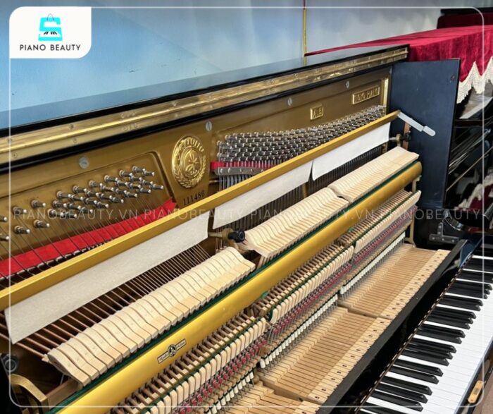 Đàn Piano Apollo A5 có búa đàn sử dụng 100% lông cừu tự nhiên