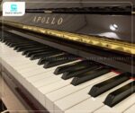 Đàn Piano Apollo AR78 sở hữu 88 phím đàn tiêu chuẩn