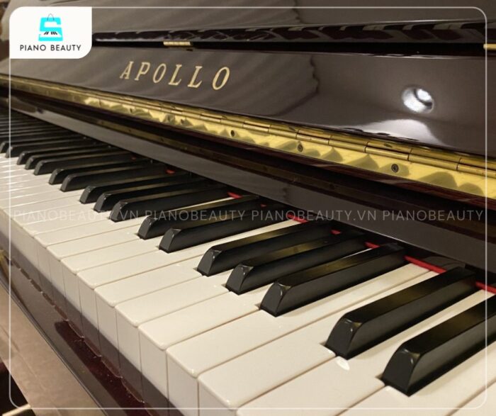 Đàn Piano Apollo AR78 sở hữu 88 phím đàn tiêu chuẩn