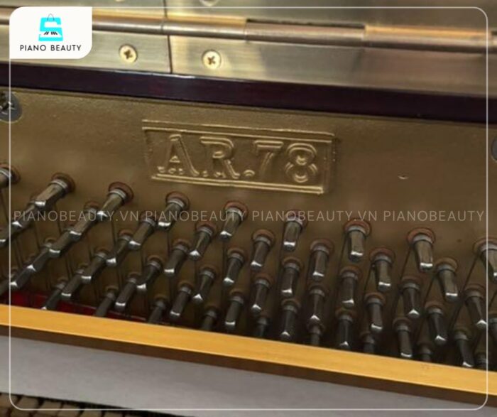 Đàn Piano Apollo AR78 nổi bật với khả năng kiến tạo chất âm trong trẻo