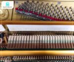 Đàn Piano Apollo AR78 với búa đàn làm từ lông cừu ép chặt 2 bên
