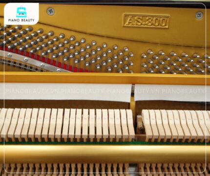 Đàn Piano Apollo AS300