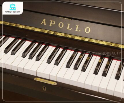 Đàn Piano Apollo AW500 mang đến trải nghiệm lướt phím vô cùng tự nhiên và êm ái