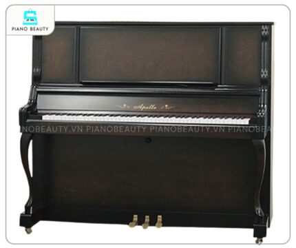 Đàn Piano Apollo AW800 với lớp sơn màu quả óc chó đen bóng, tôn vinh nét đẹp vượt thời gian