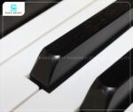 Bàn phím của Đàn Piano Apollo MU600 mang lại trải nghiệm chơi chắc chắn