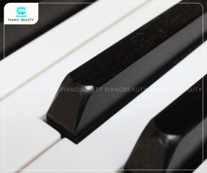 Bàn phím của Đàn Piano Apollo MU600 mang lại trải nghiệm chơi chắc chắn