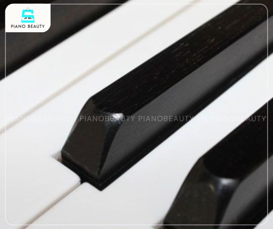Bàn phím của Đàn Piano Apollo MU600 mang lại trải nghiệm chơi chắc chắn