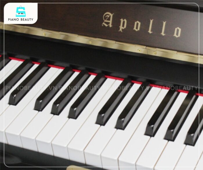 Đàn Piano Apollo MU700 gồm 88 phím, được sản xuất từ vật liệu cao cấp