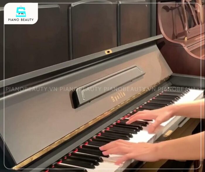Đàn Piano Apollo MU700 trang bị bàn phím đem lại cảm giác chắc chắn, độ nhạy cao và tuổi thọ bền bỉ