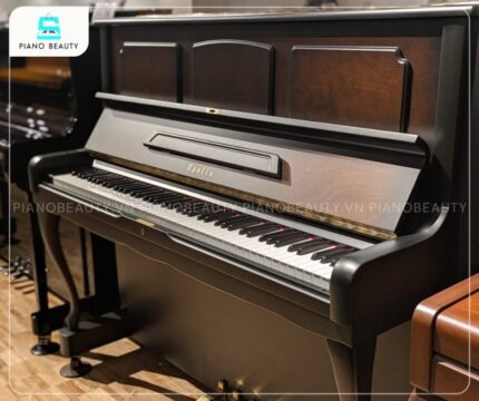 Đàn Piano Apollo MU700 mang đến âm thanh sống động, thiết kế thanh lịch