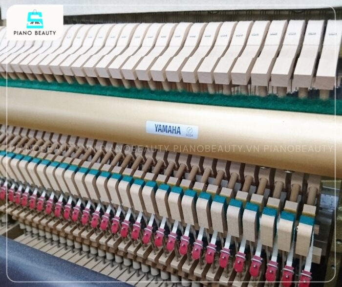 Đàn Piano Apollo RU200 sở hữu búa đan sản xuất từ lông cừu tự nhiên